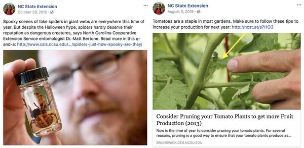 Two posts from the NC State Extension Facebook page